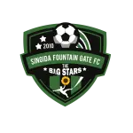 Singida Black Stars