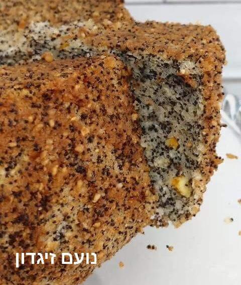 באדיבות נועם זיגדון