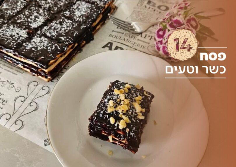 צילום: נועם זיגדון