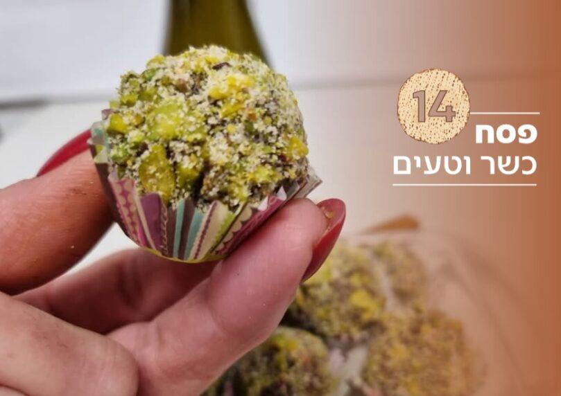 צילום: נועם זיגדון