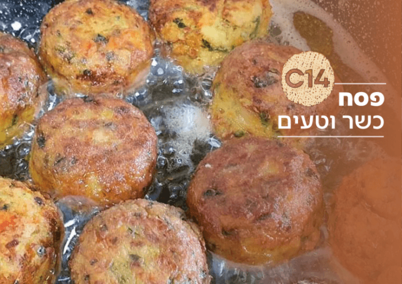 צילום: נועם זיגדון