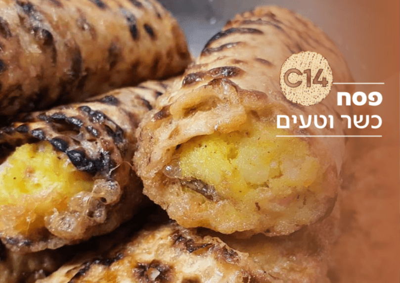 צילום: נועם זיגדון