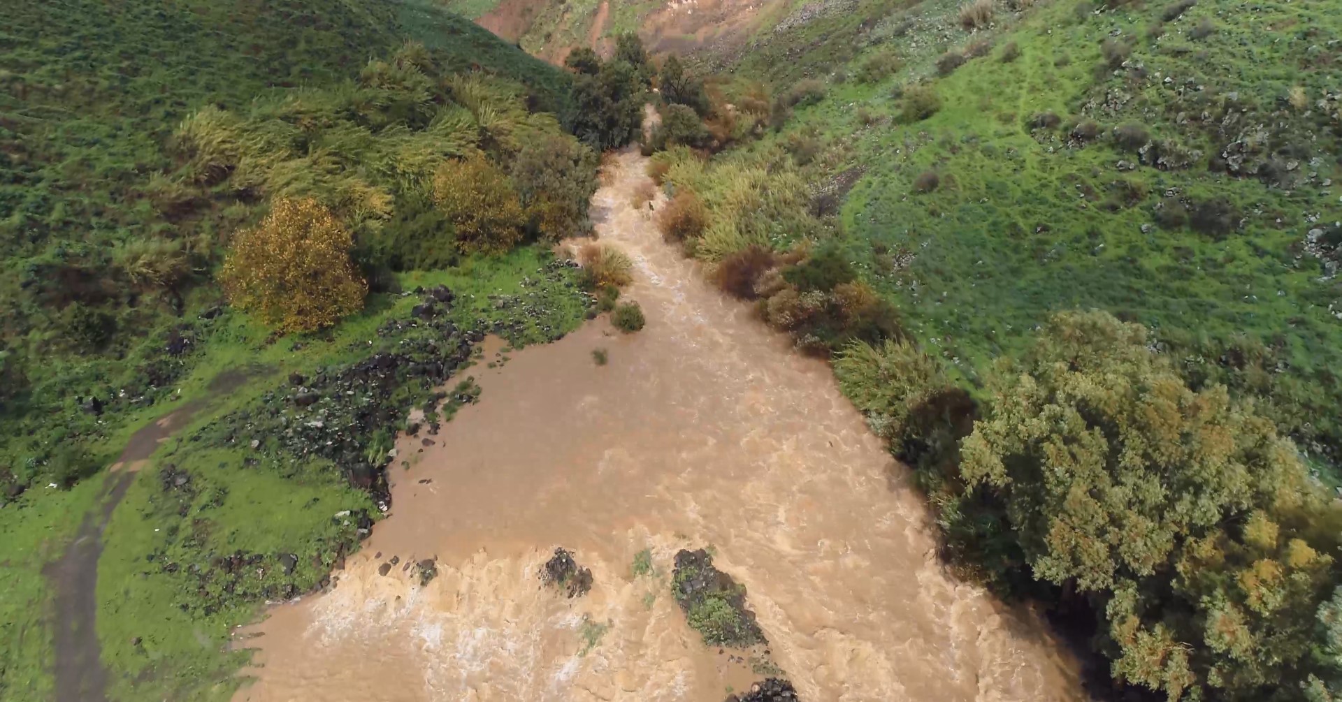 משרד הבריאות מזהיר: הכניסה לנחלים הבאים עלולה להוות סכנה
