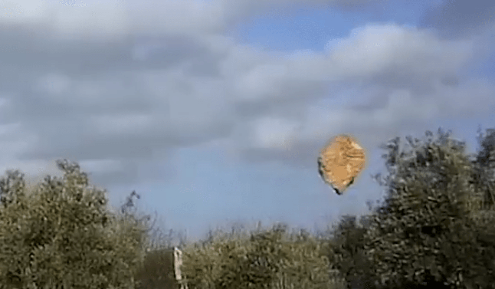 צפו: ניסיון רצח פסטורלי