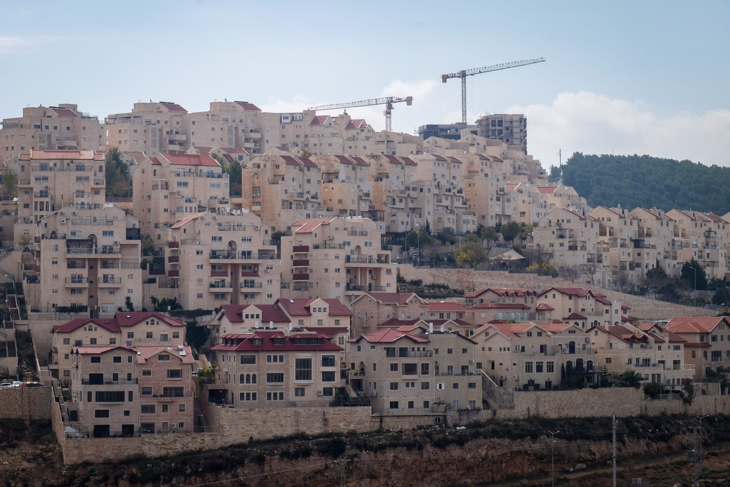 גידול אוכלוסייה בקצב של 3% ביו"ש