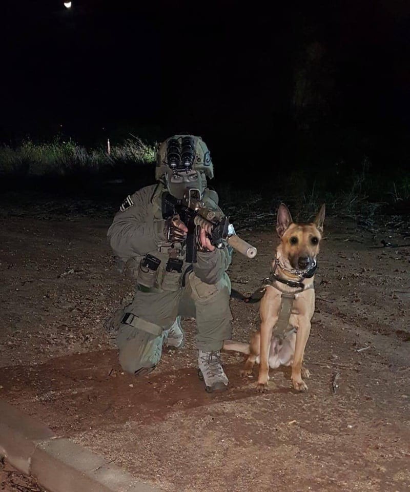 המחבל שרצח את אורי אנסבכר נלכד על ידי כלב תקיפה