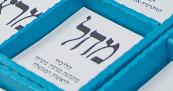 דיווחים על כך שנעלמו כלל פתקי מחל (הליכוד) בשכונת נווה יוסף בחיפה