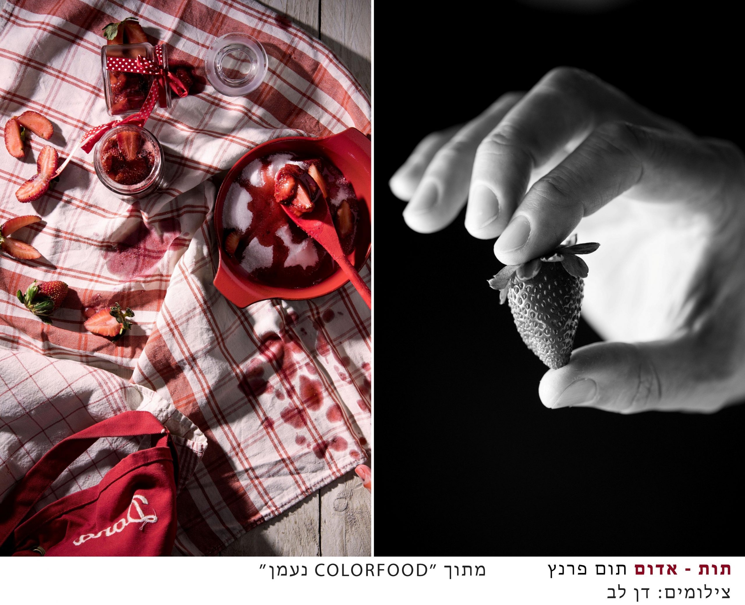 Colorfood: חיבור נדיר בין אוכל ואומנות