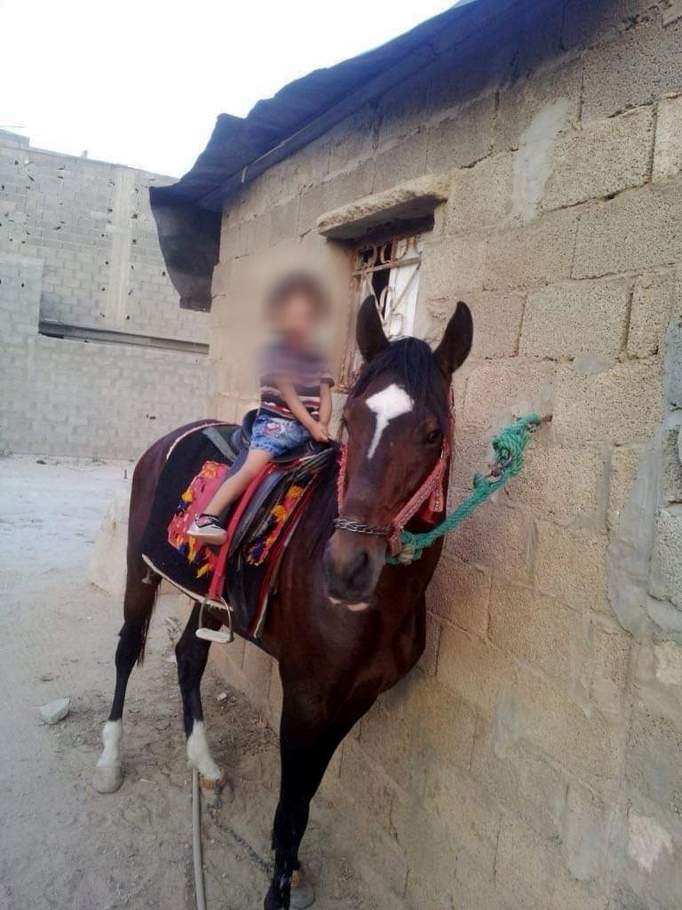 מהג'בלאות בבנגאזי לחיידר באירופה