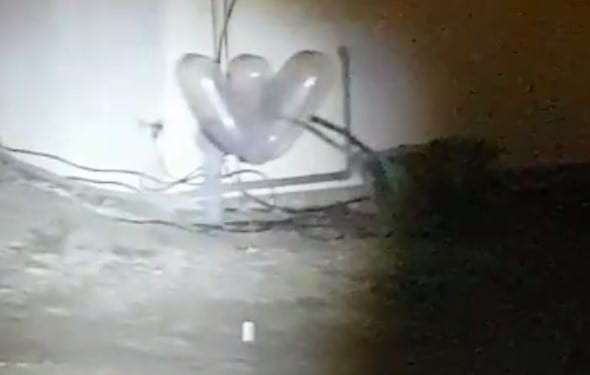 צרור בלוני תבערה אותר ביישוב במועצה האזורית בני שמעון, כוחות בדרכם למקום