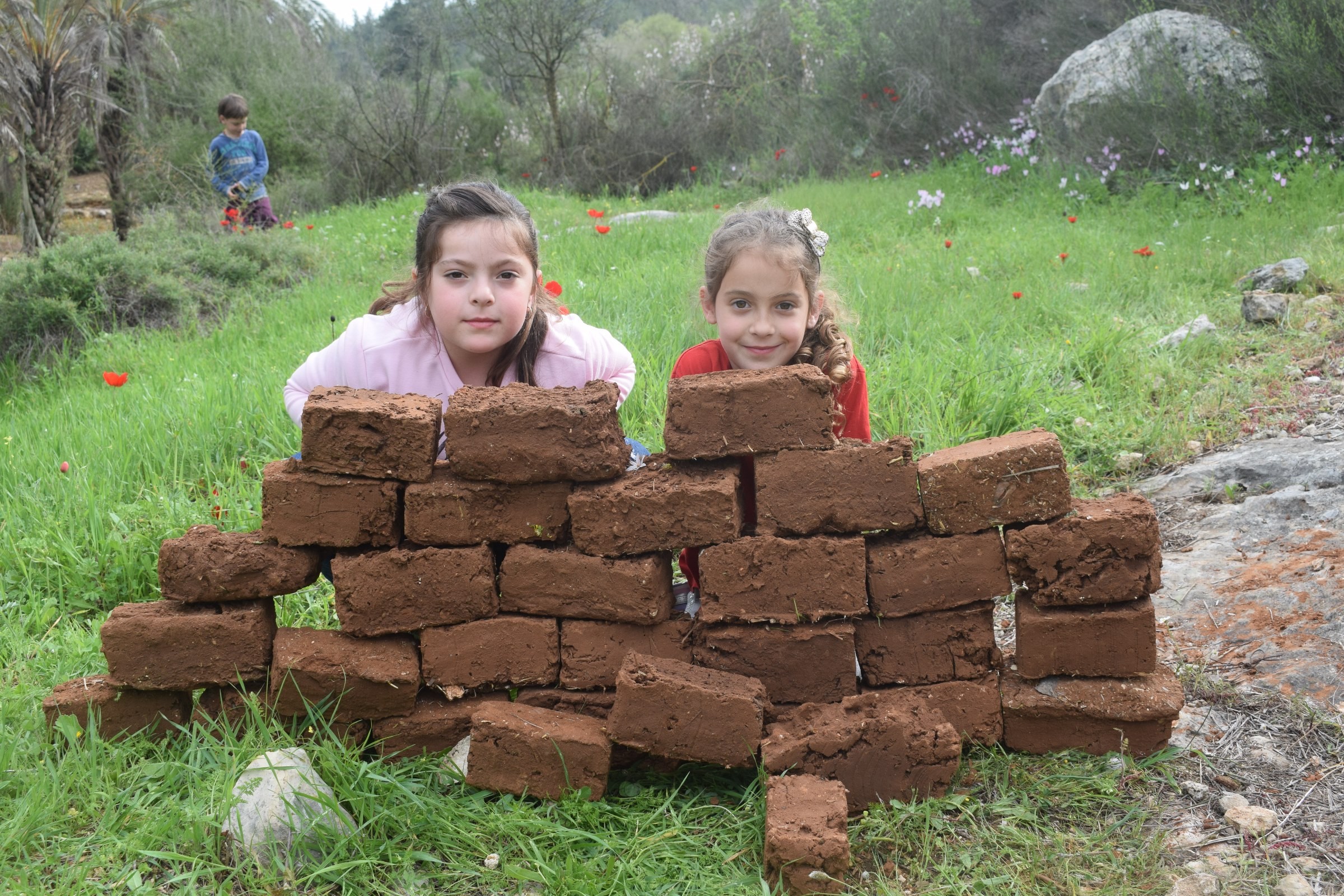 צילום: נאות קדומים