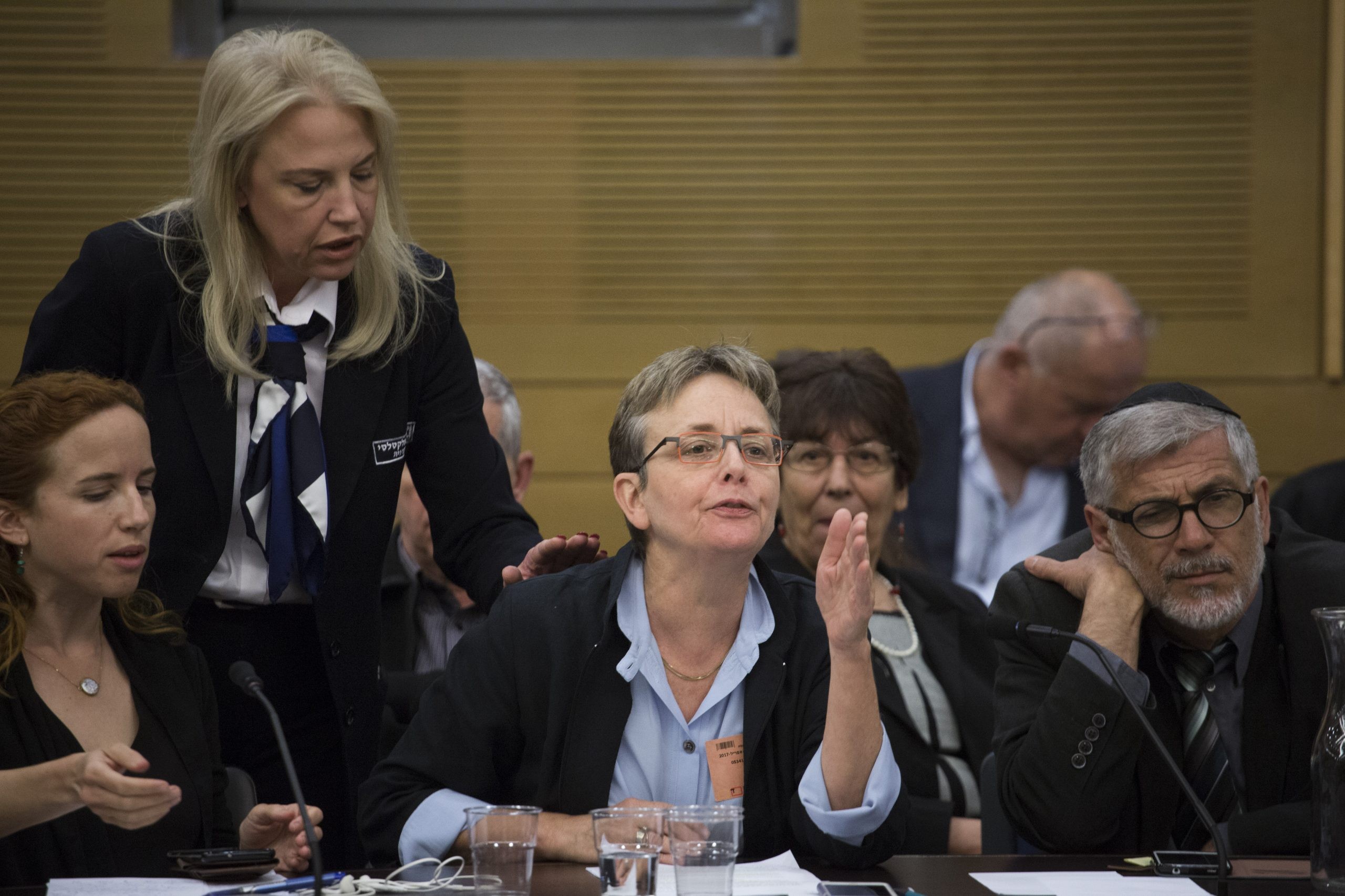 ד"ר לאה גולדין בדיון הוועדה לביקורת המדינה. צילום: הדס פרוש, פלאש 90