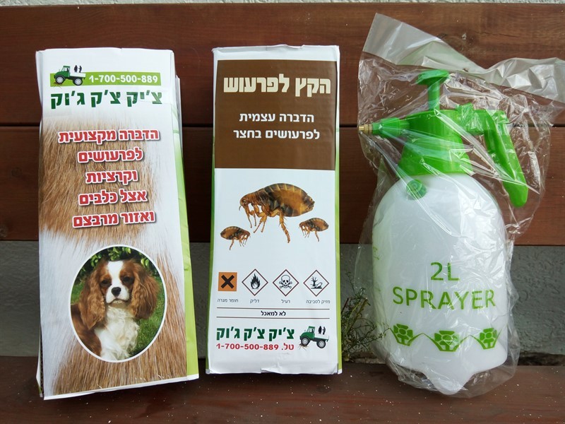 כל מה שרציתם לדעת על הדברת פרעושים