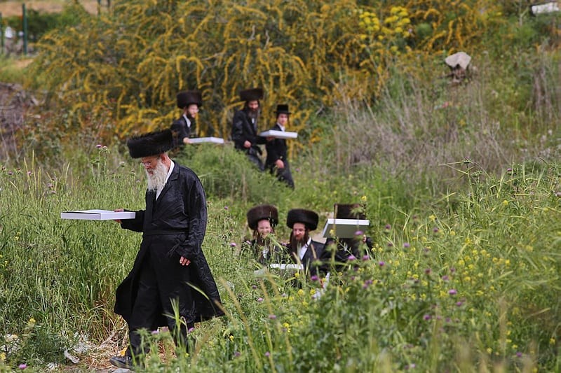 משטרת ישראל מפרסמת רשימת כללי בטיחות למטיילים ב"בין הזמנים"