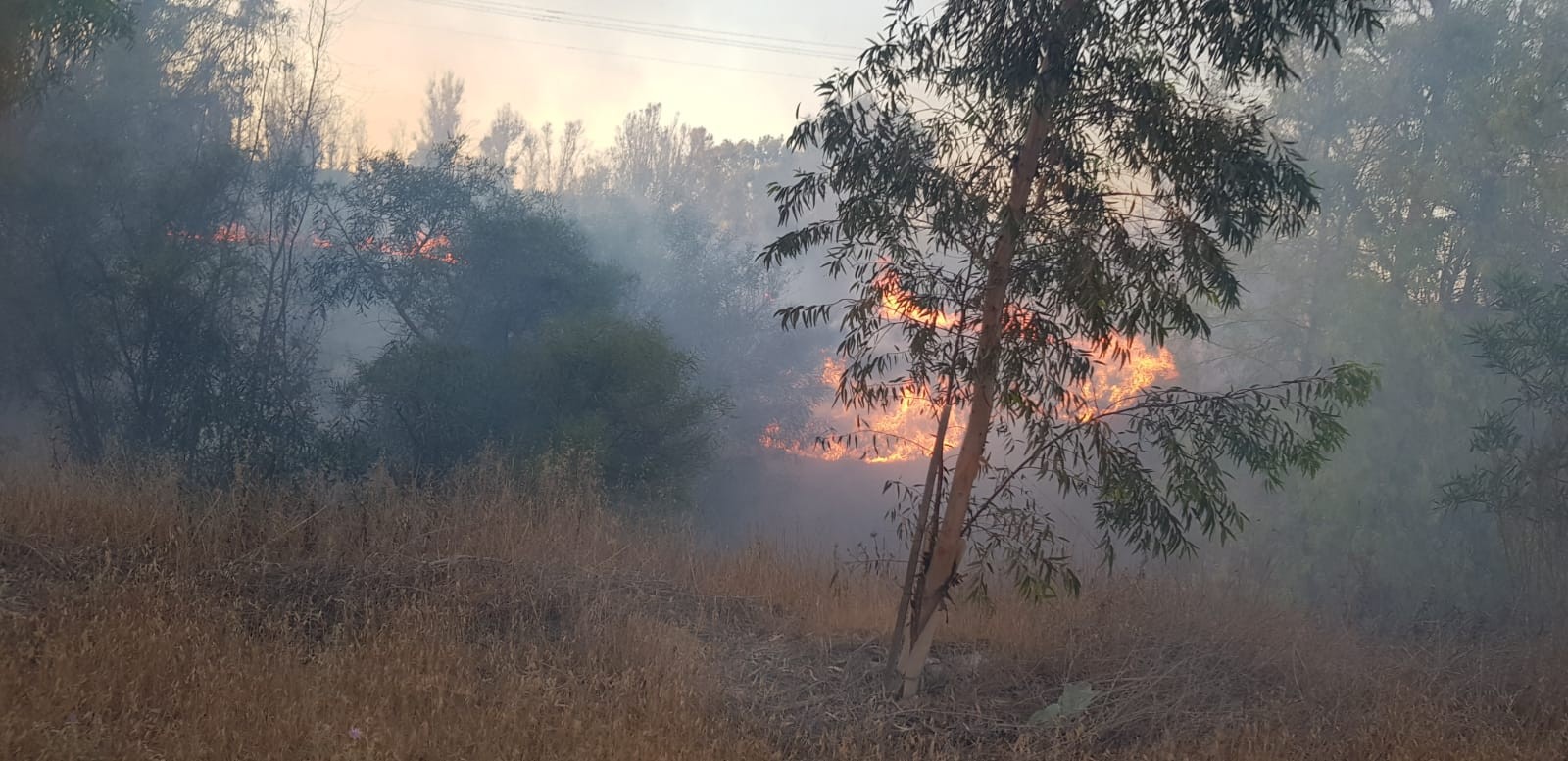 דרום תחת אש: בלוני תבערה הציתו שתי שריפות בעוטף