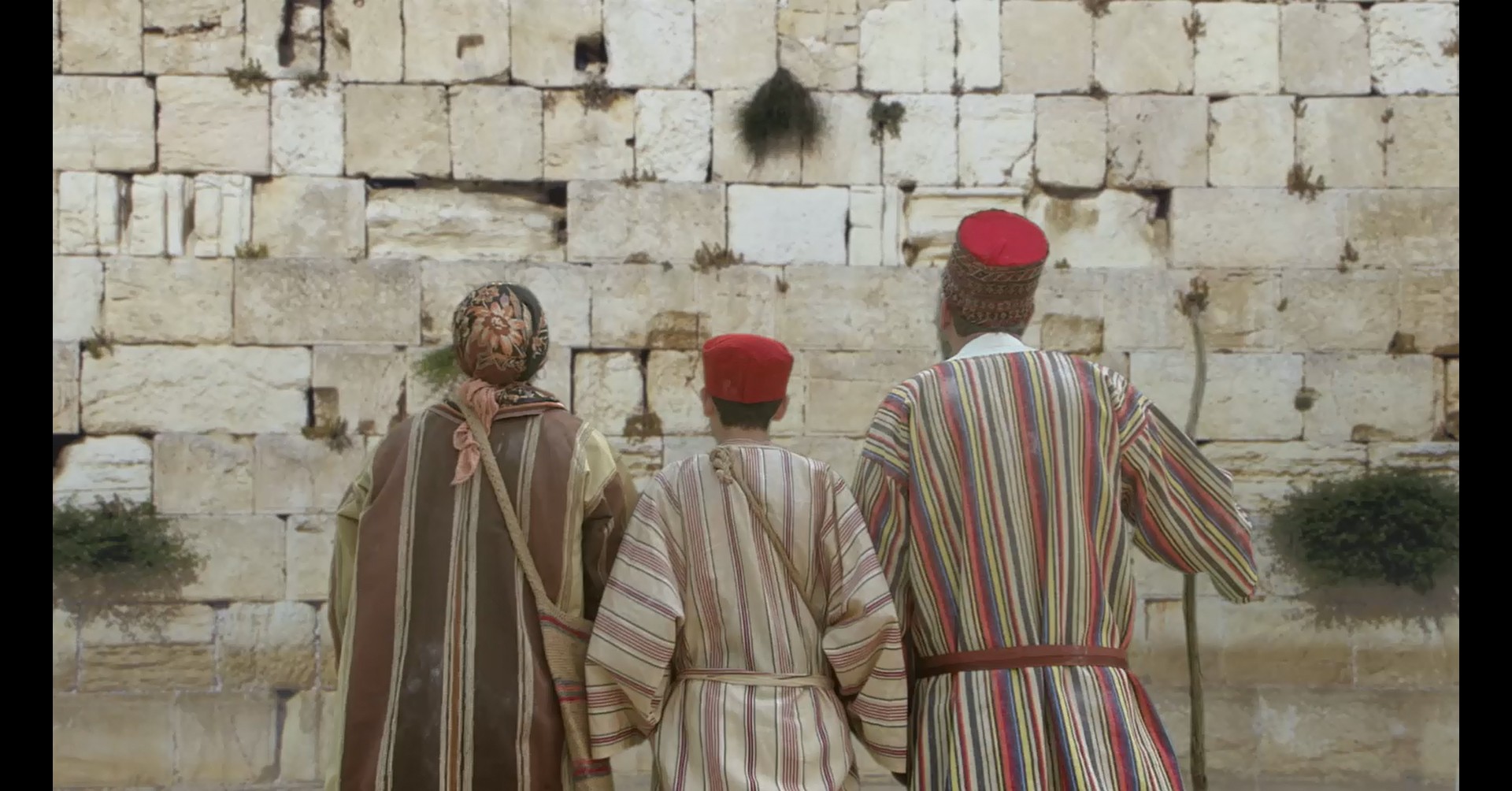 כל הסיבות לחגוג את פסח הקרוב בכותל המערבי