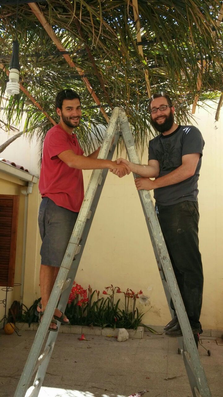 אשקלון: חלוקת סכך לסוכות ללא תשלום