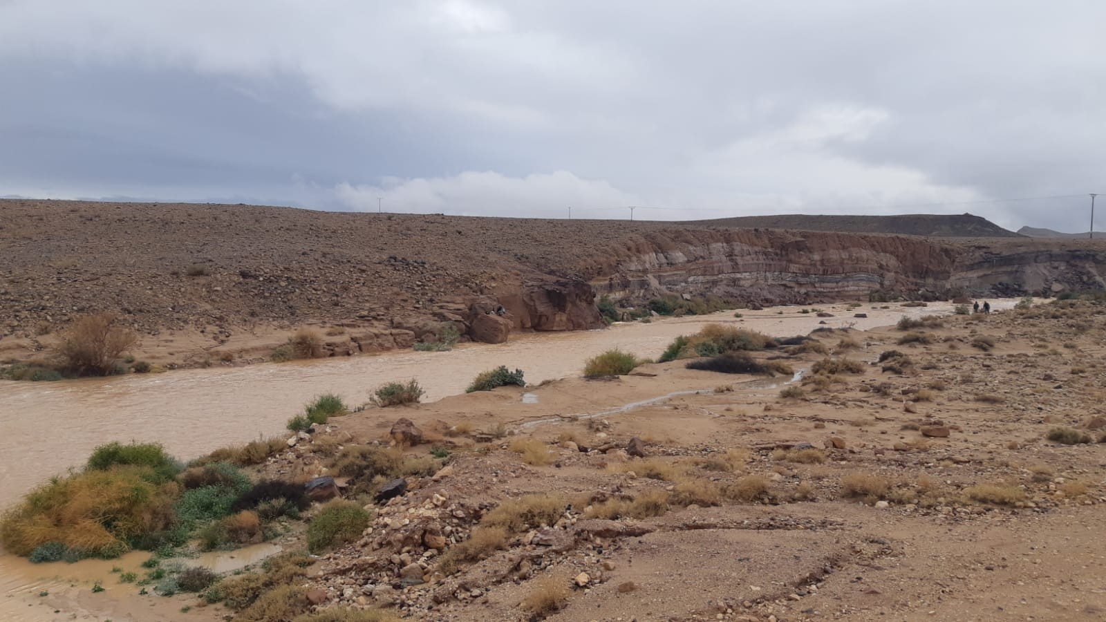 נחל רמון. צילום: צור נצר, רשות הטבע והגנים