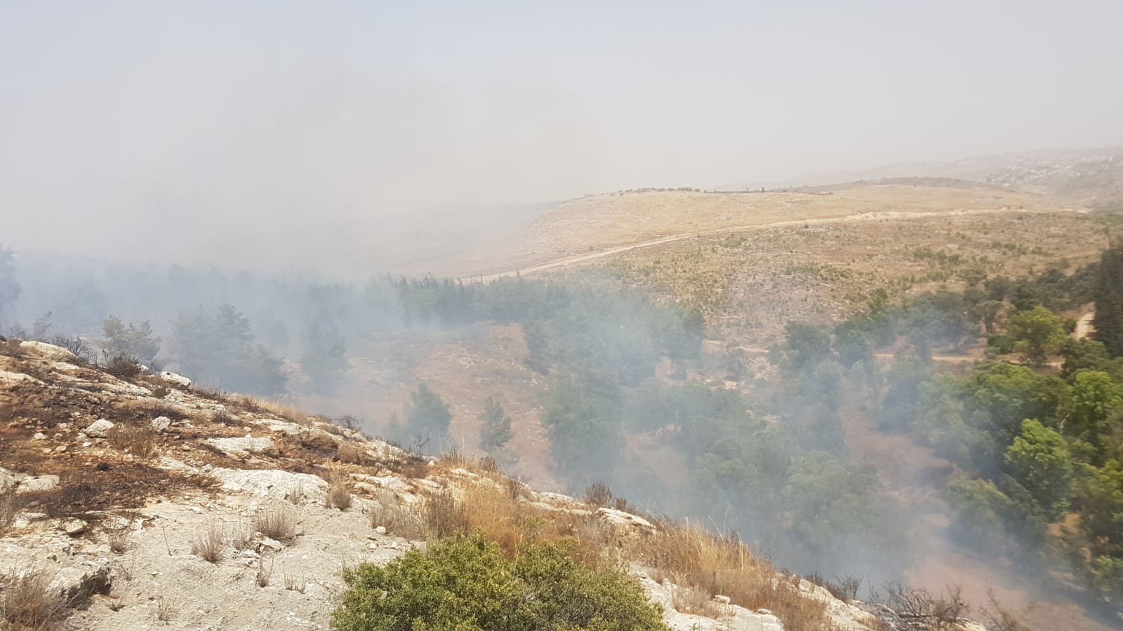 צפו: יער שוהם עולה בלהבות