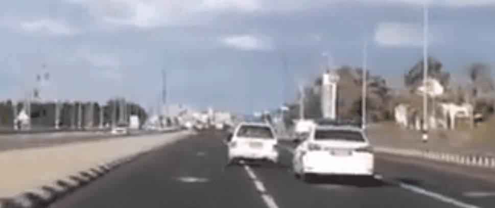 צפו: פלאי הבריאה באגמון החולה