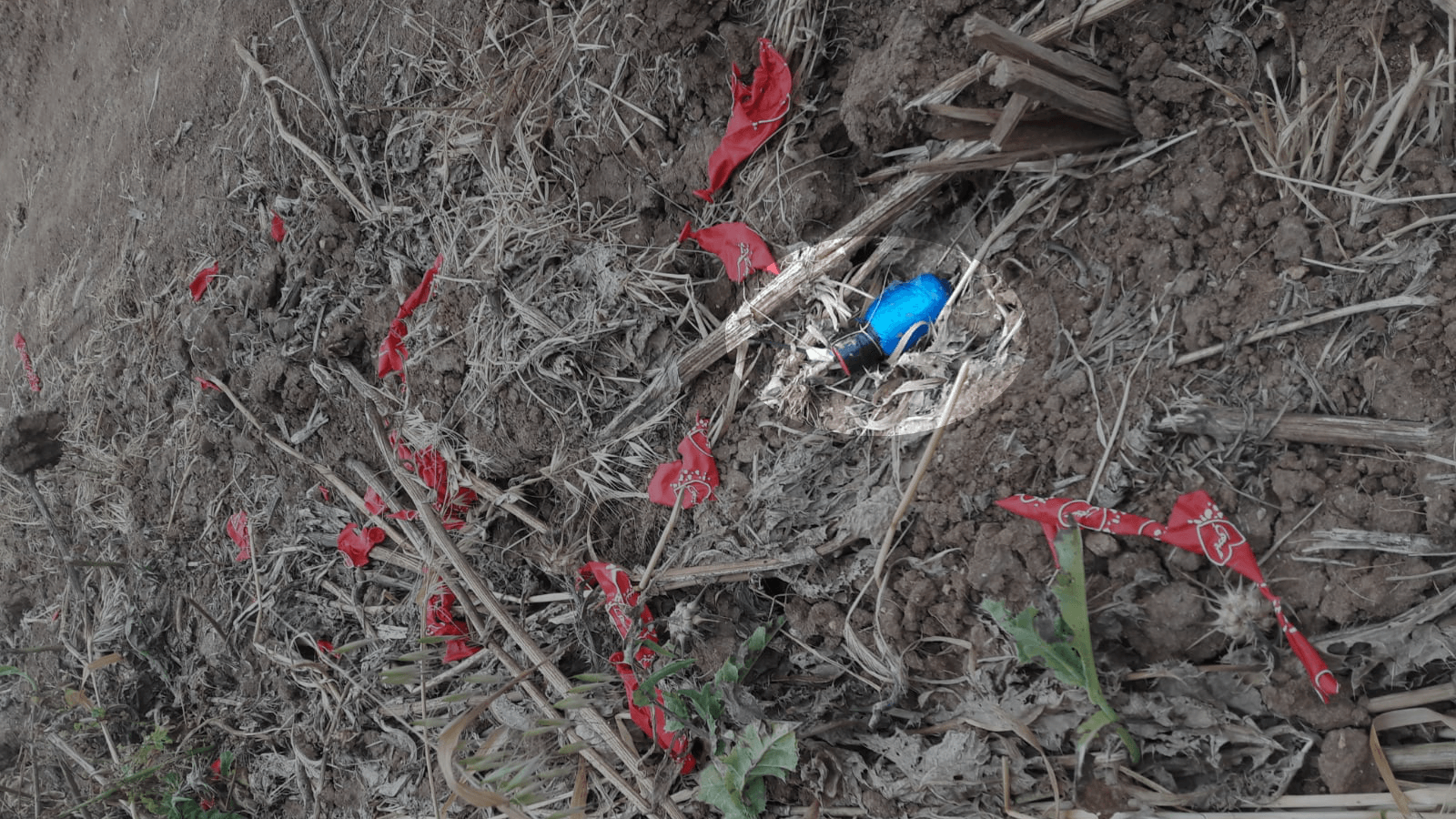 בלון עם חפץ חשוד התגלה בשטחים חקלאיים של קיבוץ בשער הנגב
