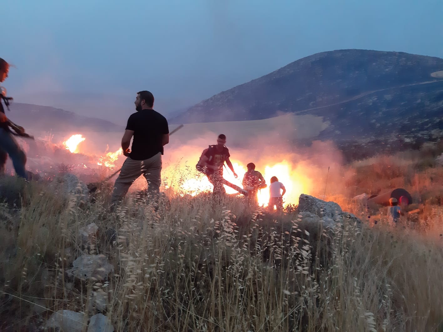 "הלב נשבר לראות אלפי דונמים של חקלאות ומרעה נשרפים"