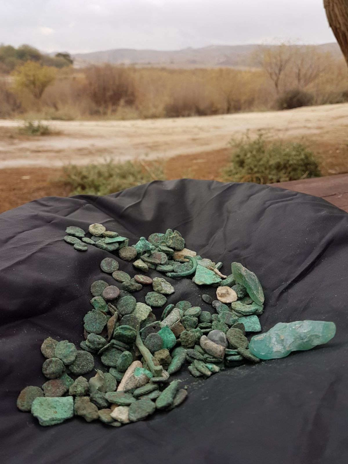 19 טון בשר מוברח נתפס במפעל בטייבה