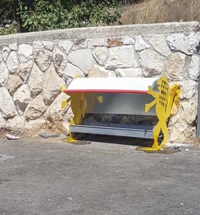 "חתולי עירך קודמים": עיריית ירושלים משקיעה בהולכים על ארבע