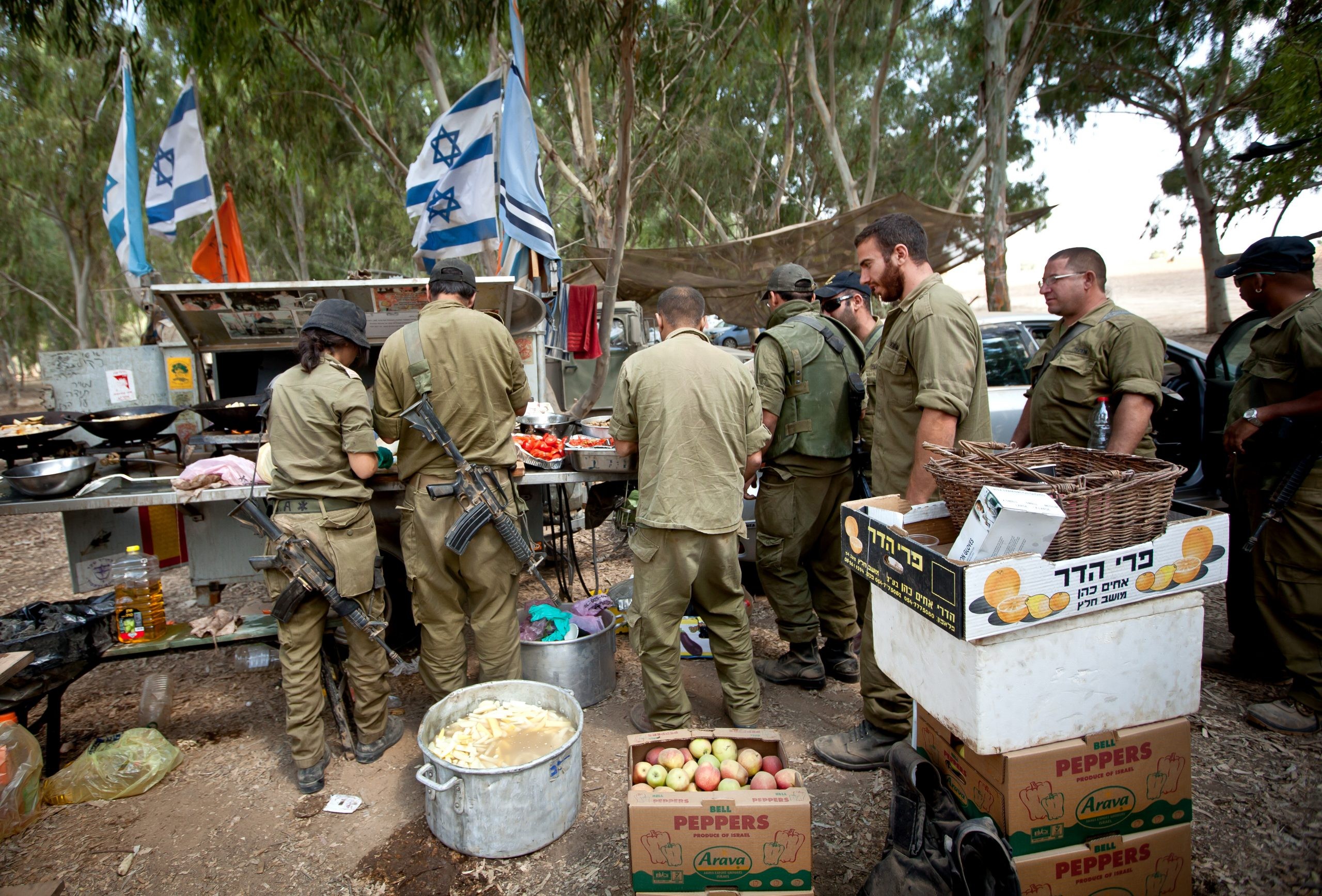 יום המילואים בפתח - אלה המוסדות האקדמים המובילים