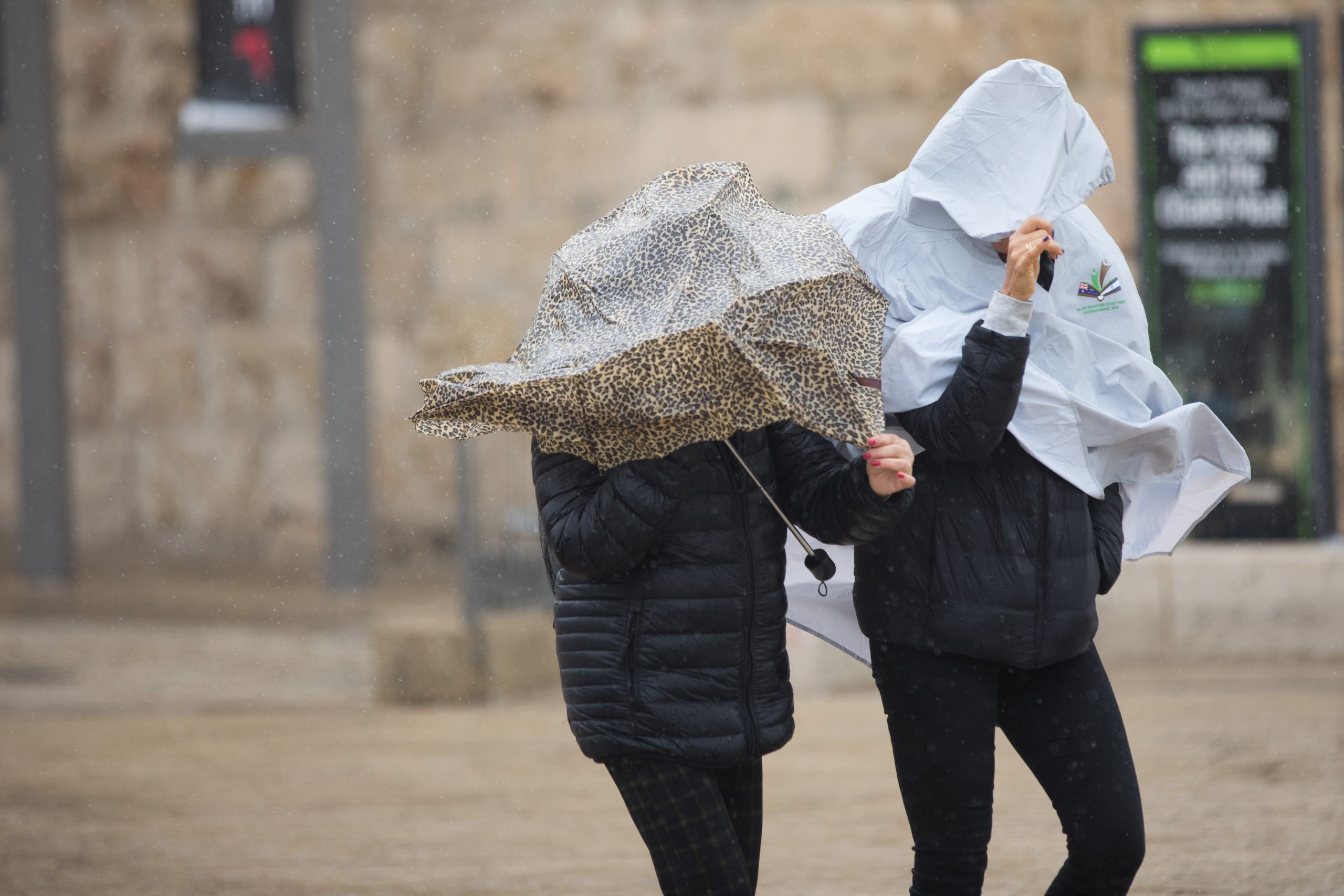 התחזית: החורף חוזר לביקור