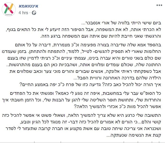 צפו: "מכת צפרדעים" בפלורידה