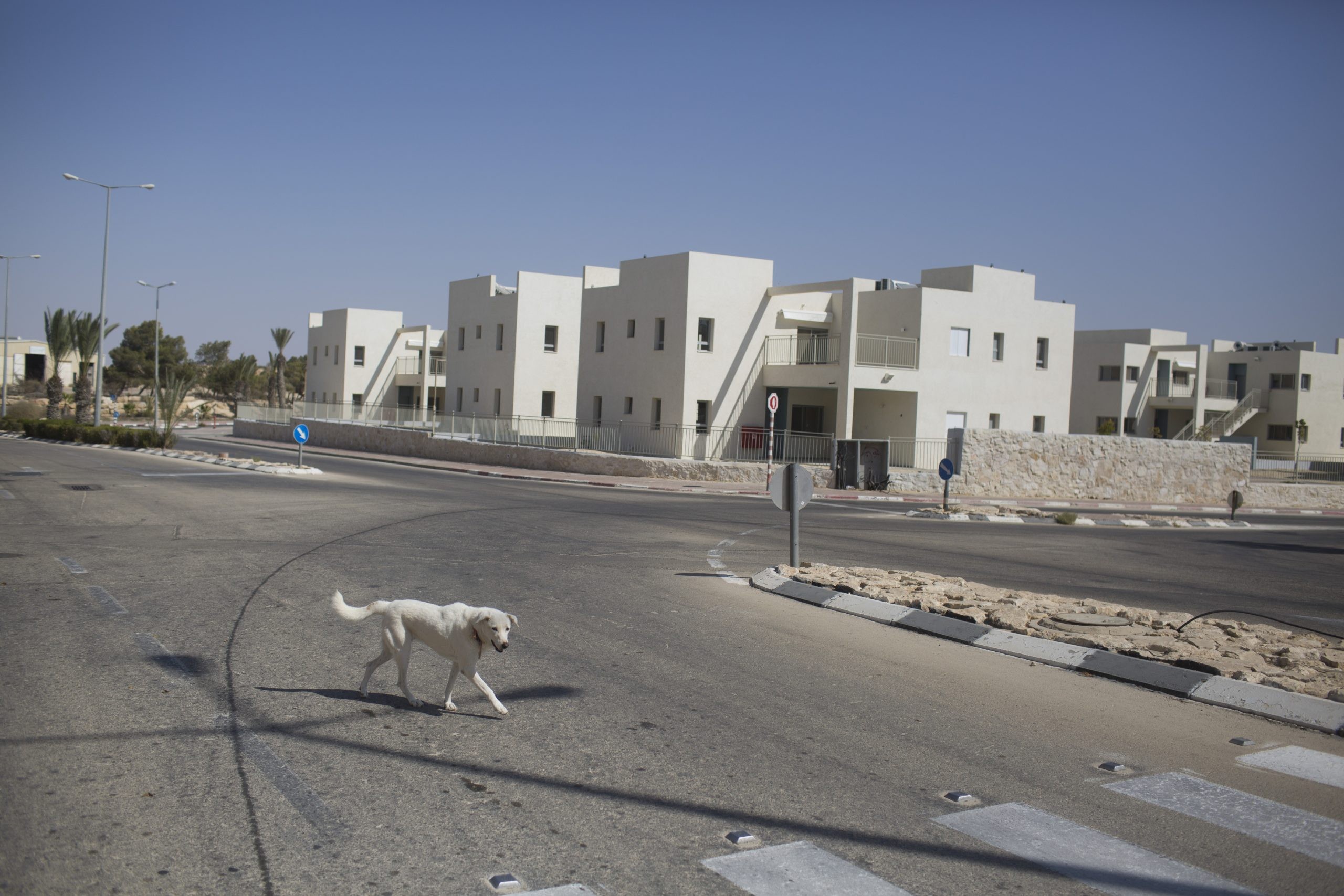 פרסום ראשון: מצפה רמון תתבע את משרד הבריאות