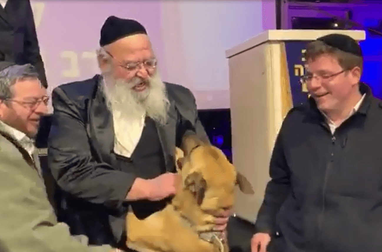 כשטדי הכלב הביע תודה לאיש זק"א