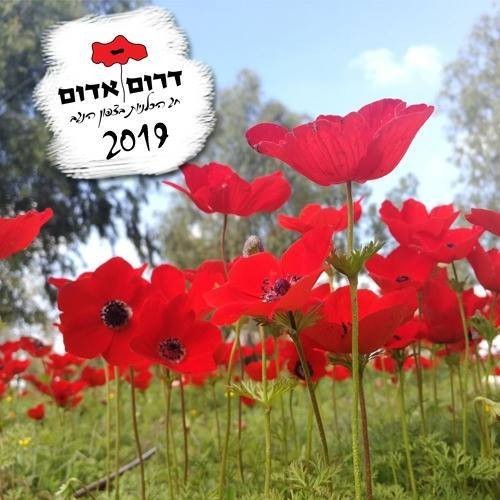ים של כלניות: פסטיבל 'דרום אדום' יצא לדרך