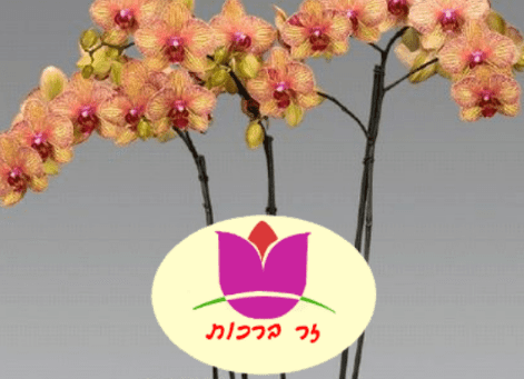 יום האהבה אף פעם לא נגמר