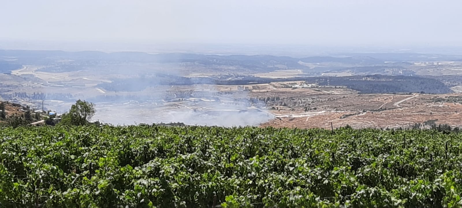 שריפה משתוללת סמוך ליישוב בת עין