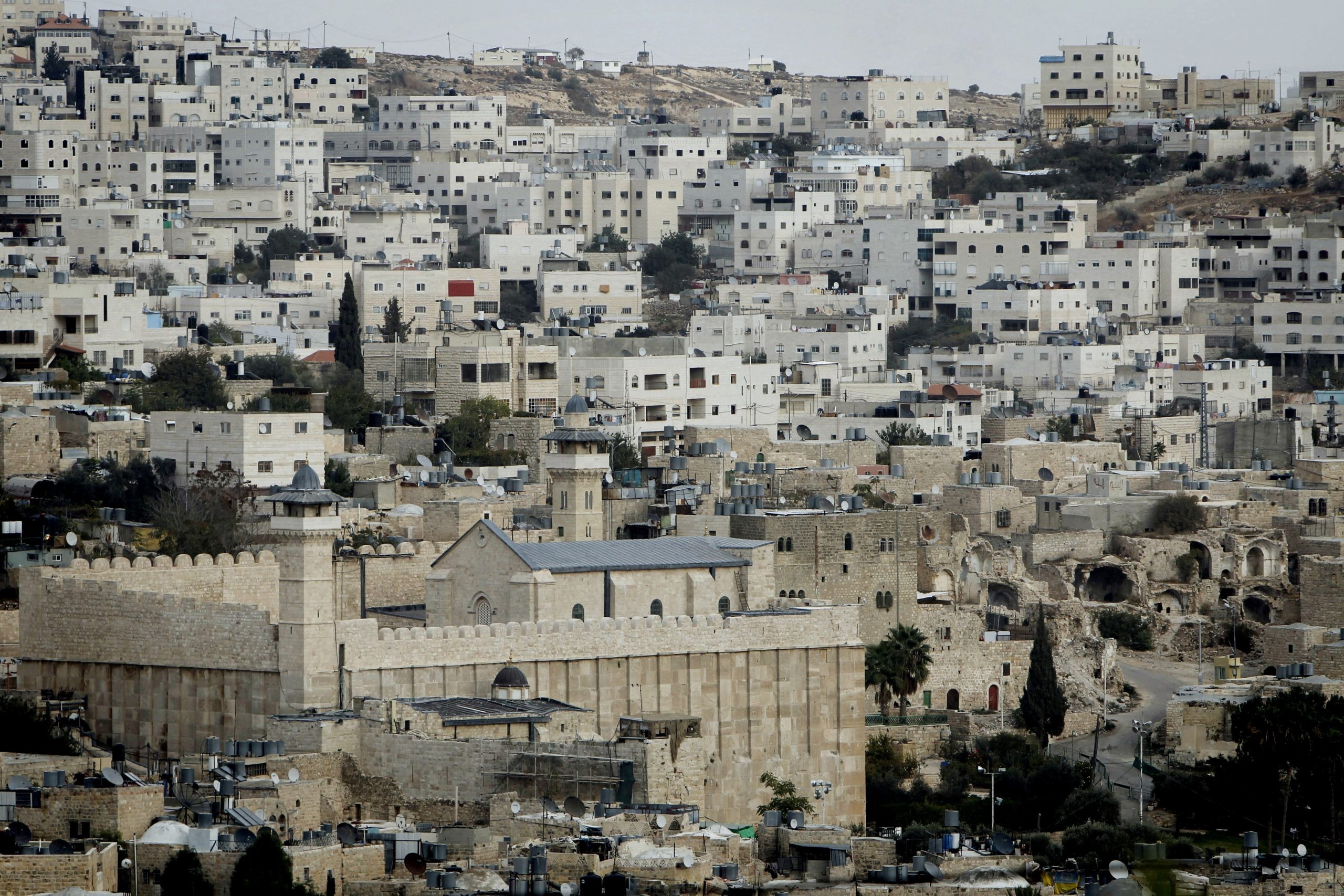 סוכל פיגוע דקירה בחברון