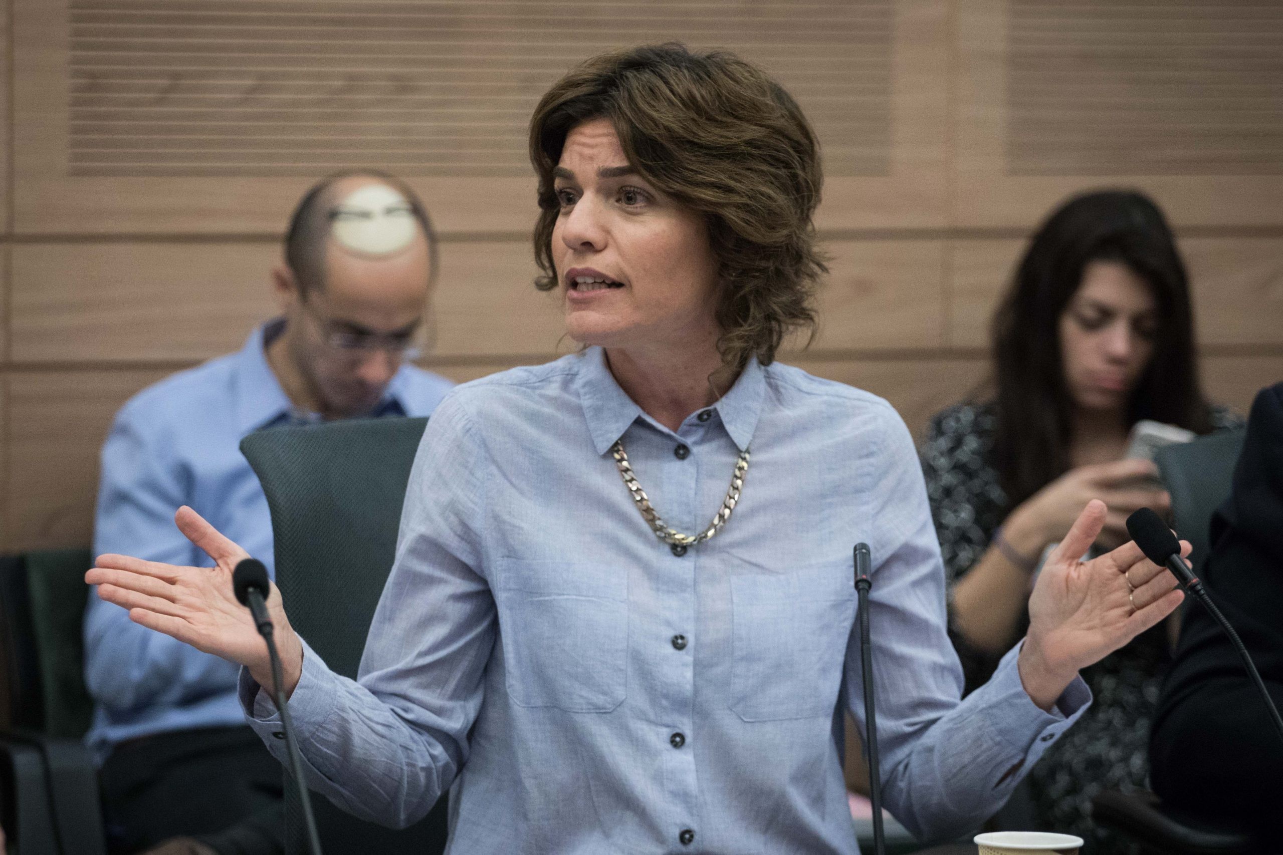 זנדברג לגבאי: יש לאחד את מפלגות העבודה ומרצ