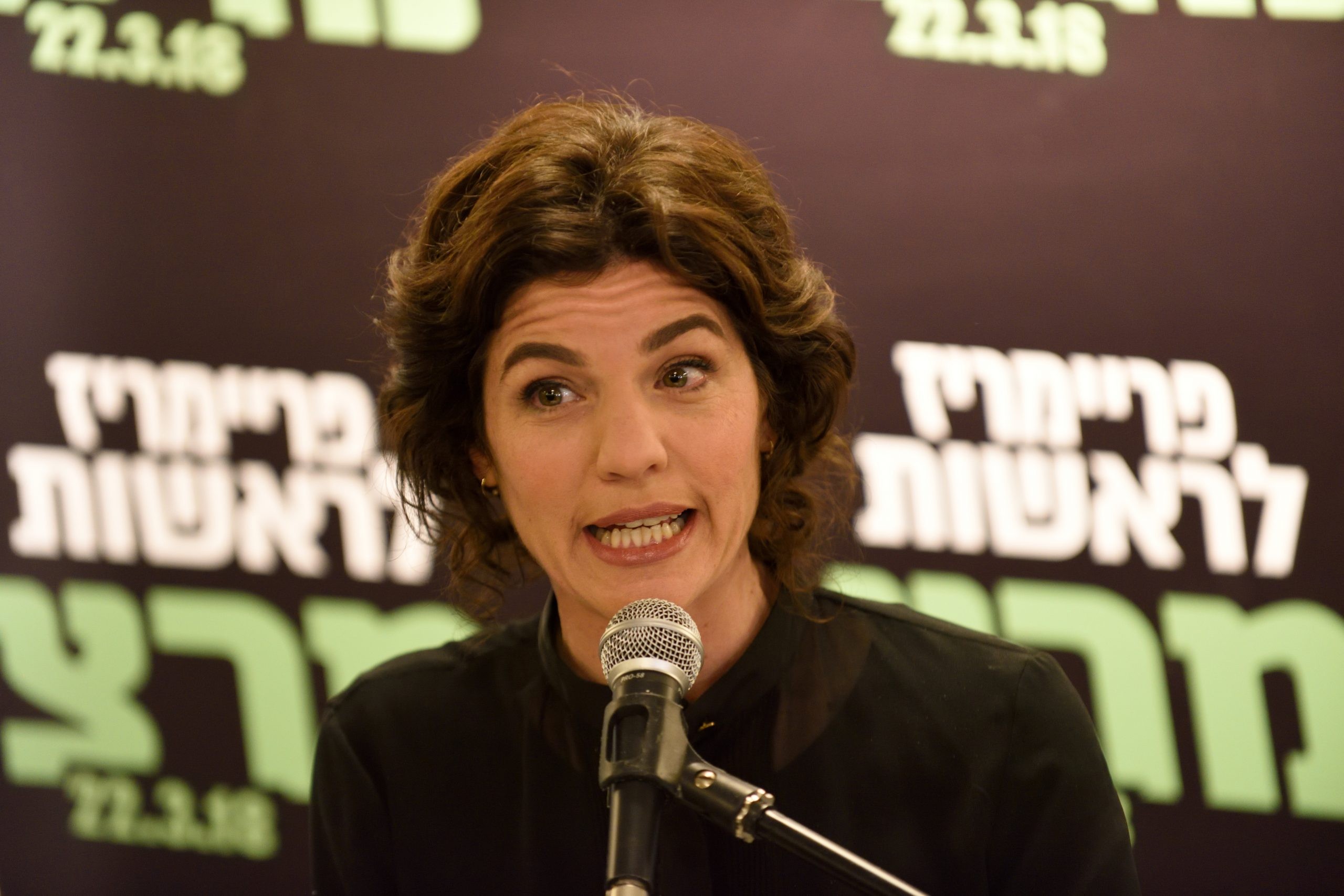 גבאי הודיע לזנדברג כי 'העבודה' לא תתאחד עם 'מרצ'