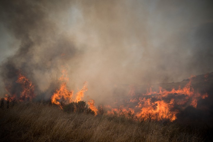 טרור השרפות נמשך, 28 הצתות מהבוקר