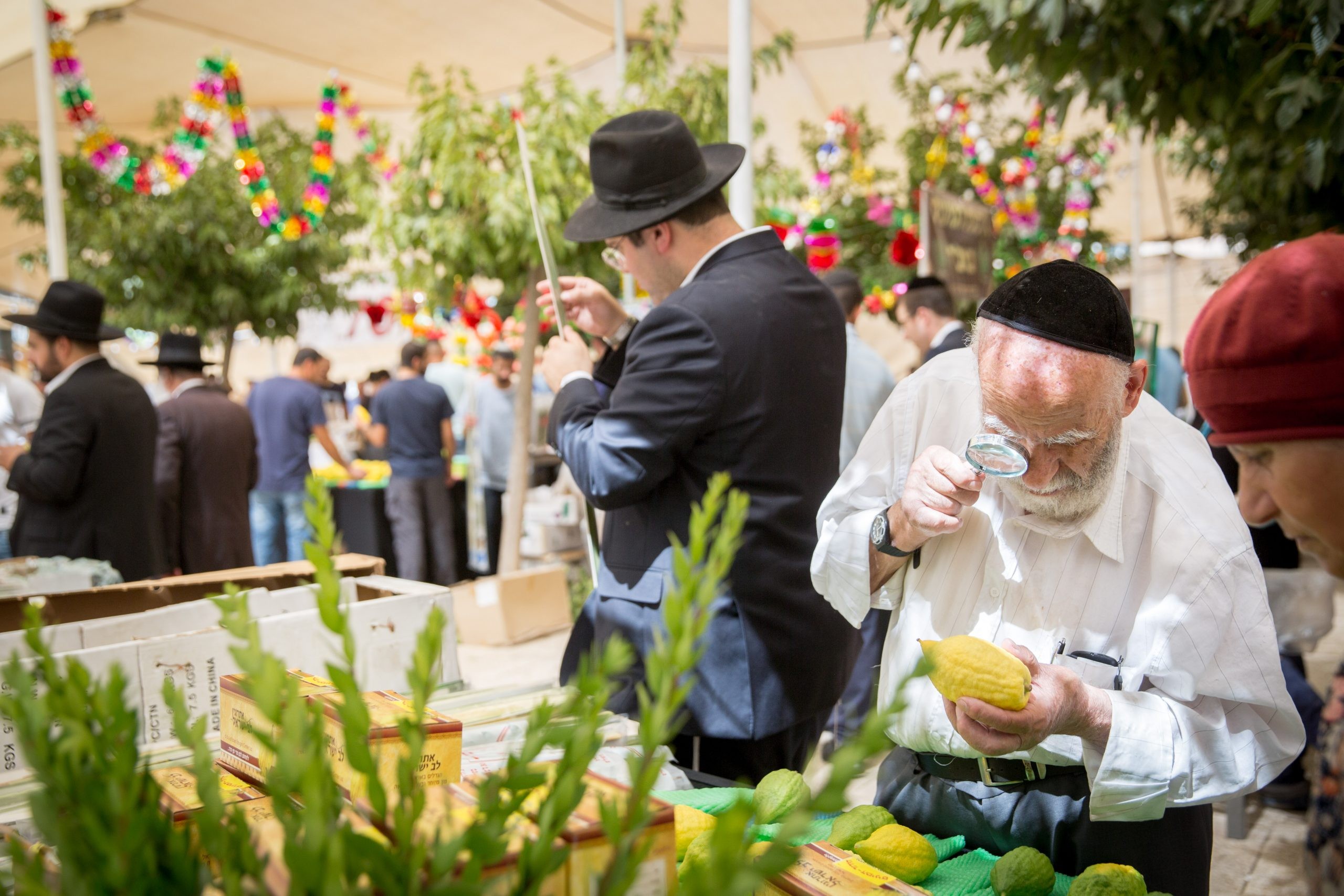 סוד הערבה: להיות תלמיד של החיים