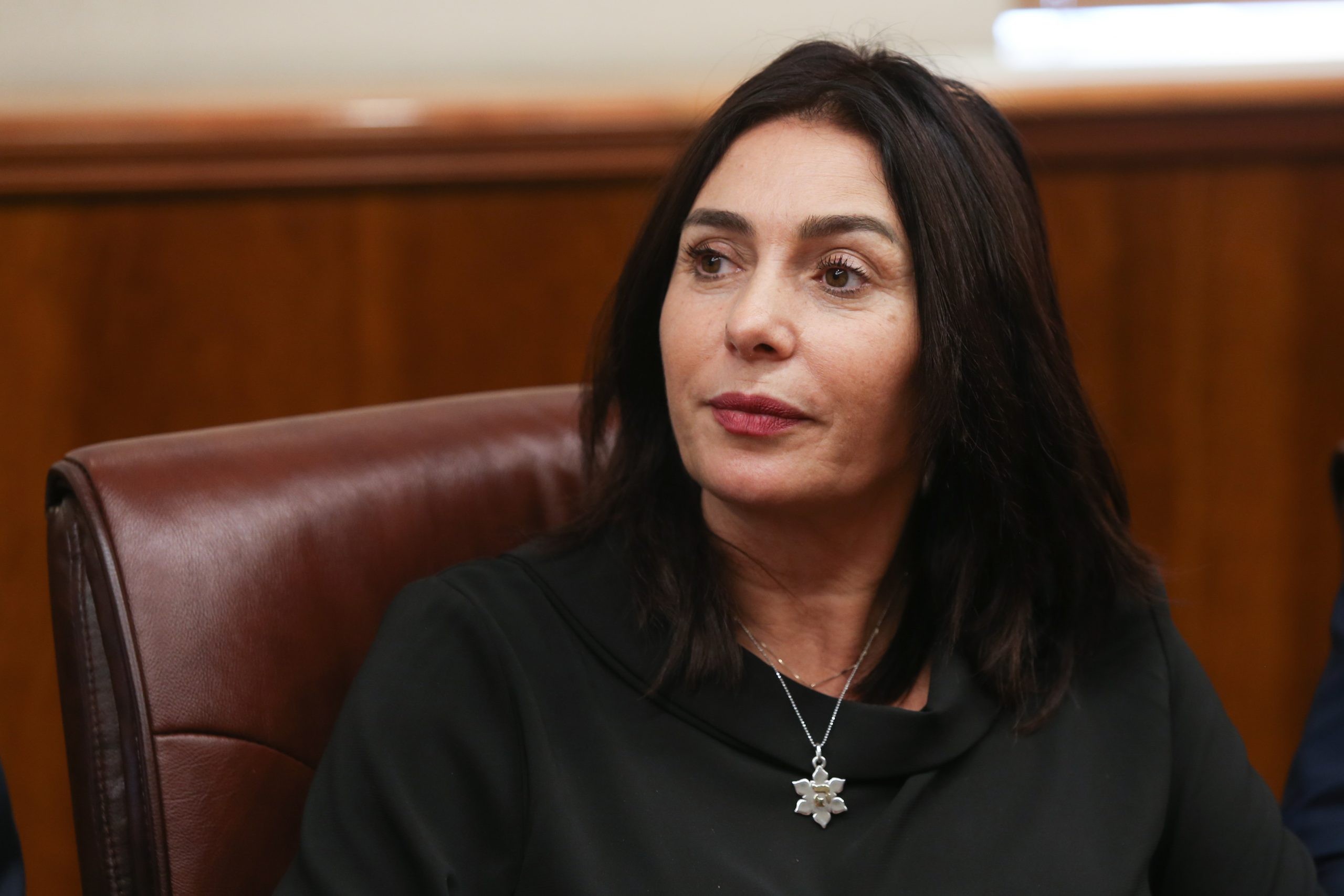 רגב למנדלבליט: "הורה על פרסום תמלילי שיחות אשכנזי"