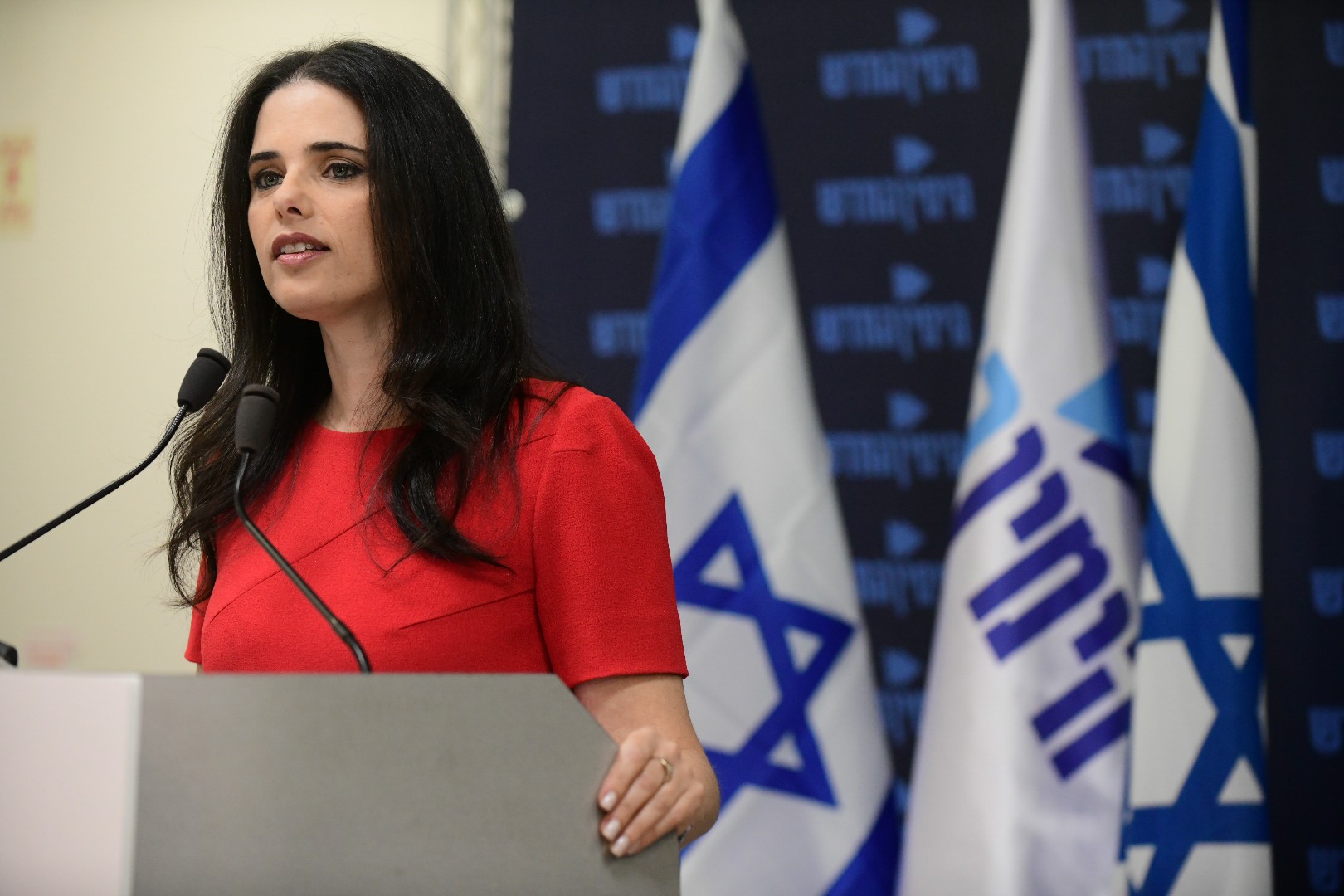 שקד: "סיכמנו שפונדקאות להט"בים תתאפשר בצורה אלטרואיסטית"