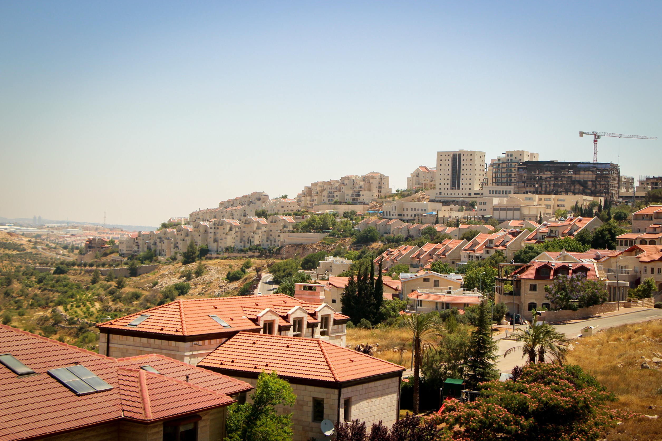 היסטוריה בגוש עציון: הסתיים הליך הרישום לעשרות דונמים