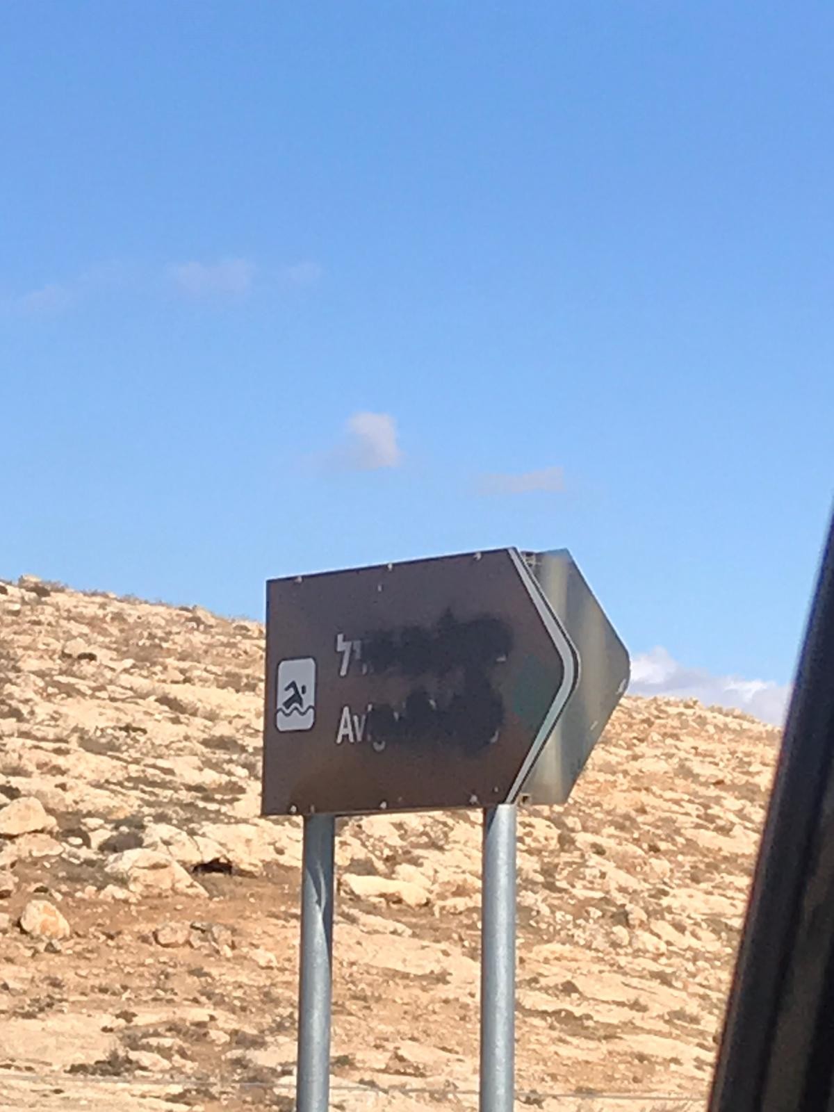 ונדליזים בהובלת פעילים אירופאים