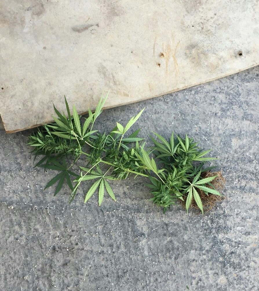 פרשת "טלגראס": נעצר חשוד נוסף