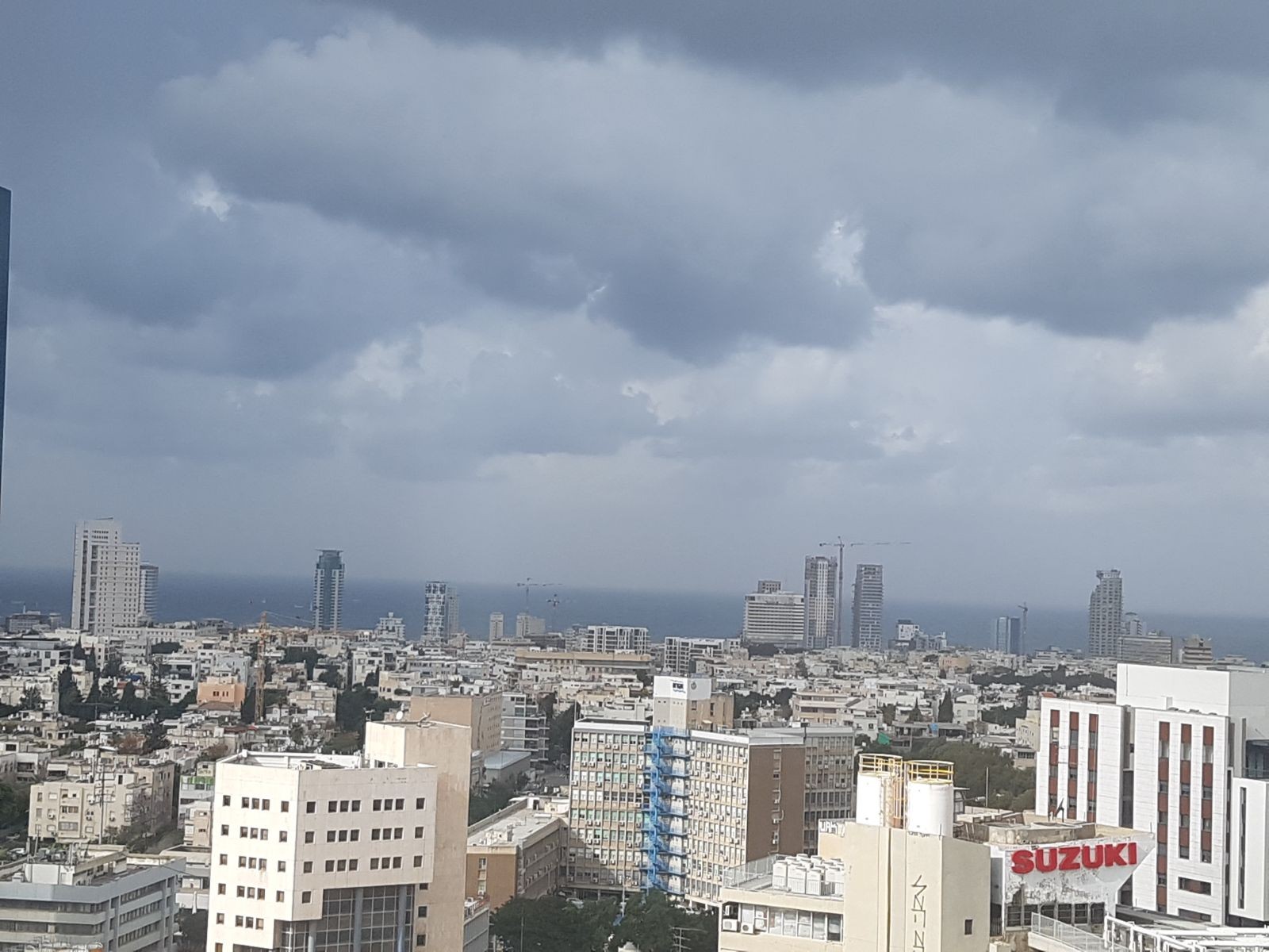 צילום: נדב גולדשטיין/TPS