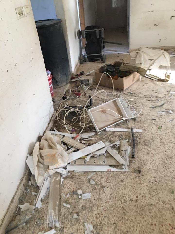 תמונות מהמצוד. צילום: ערבי