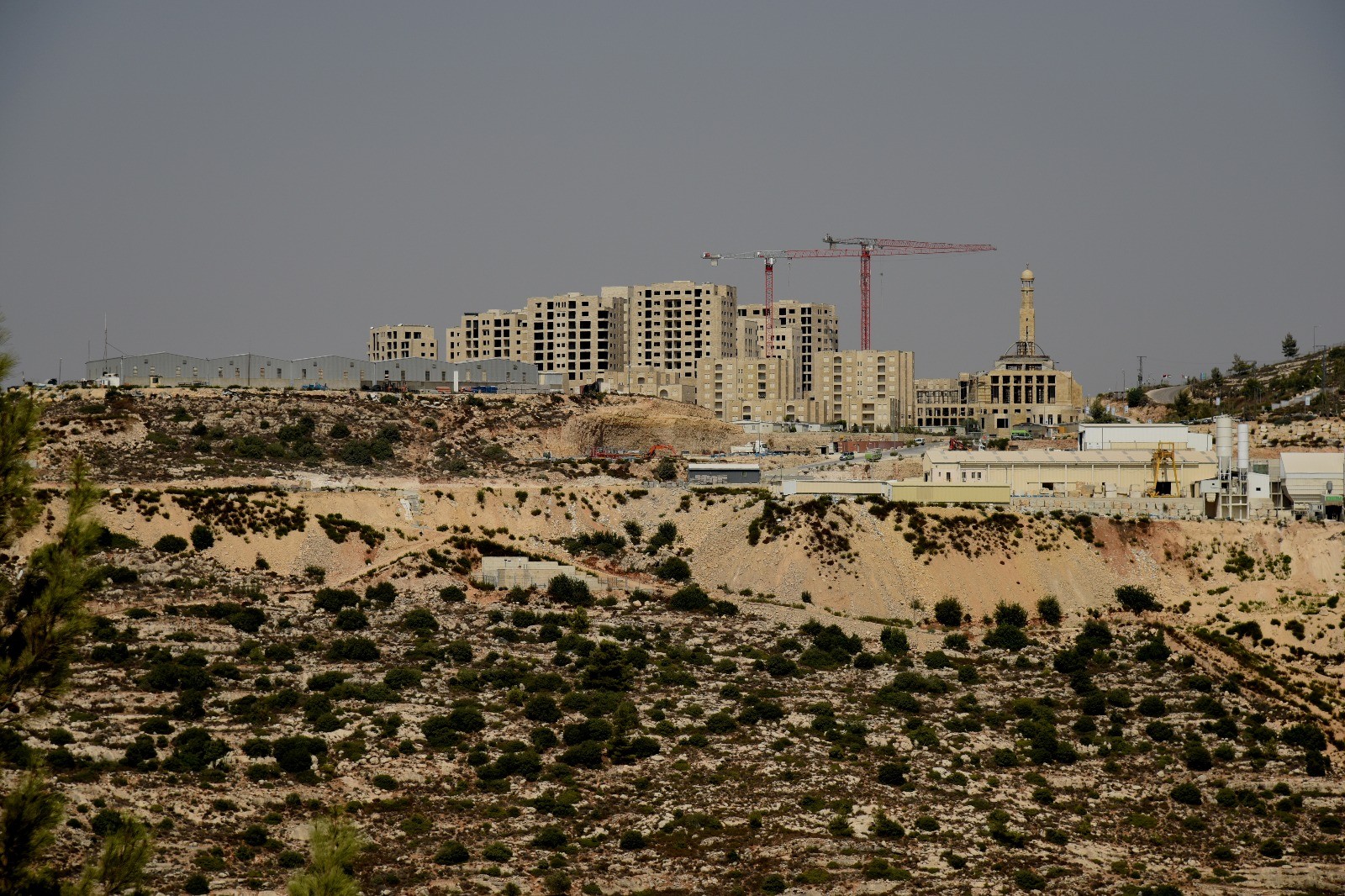 המיליונר הפלסטיני זומן לבג"ץ וגירש את השליח