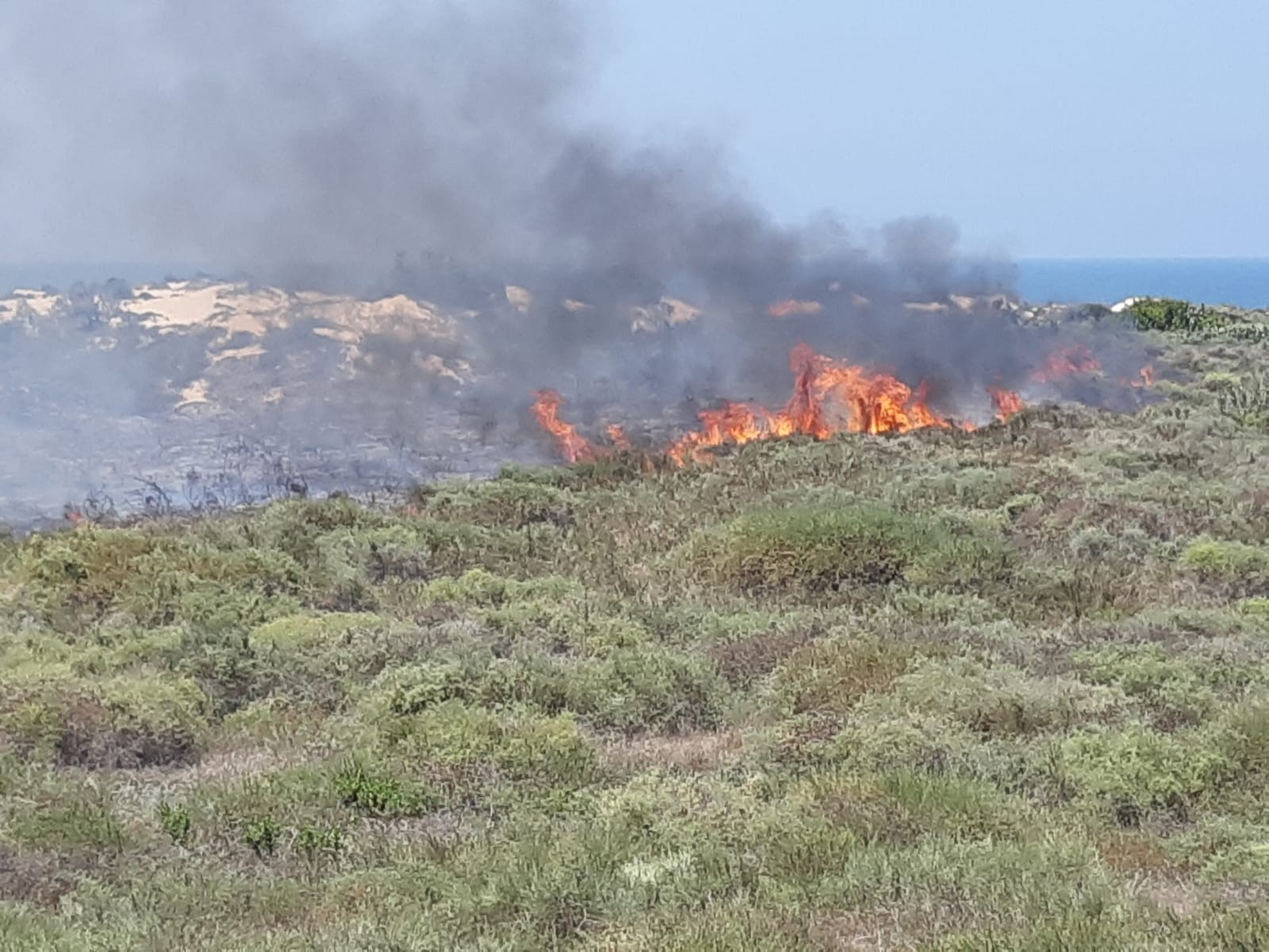 מהיום: איסור הדלקת מדורות